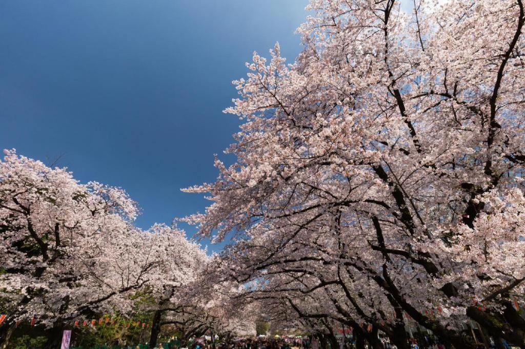 Forest Hongo Tokyo Exterior photo